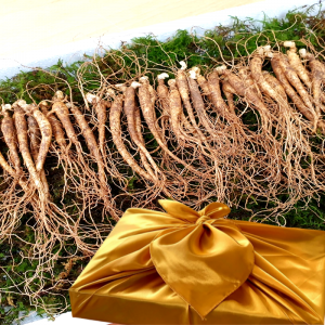 진모리,[못난이상품]못난이산양삼5-6년근100g