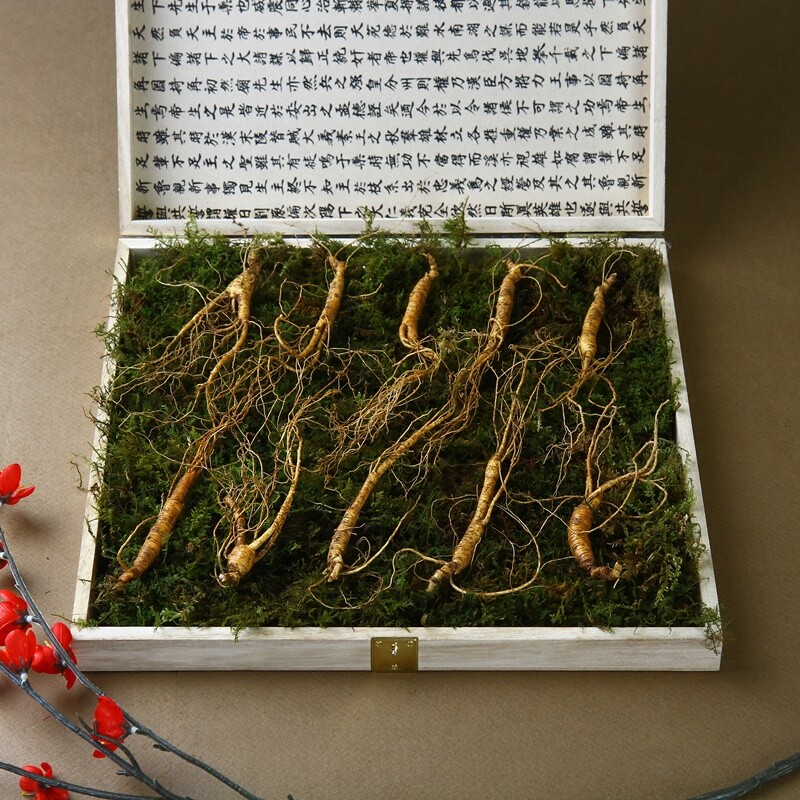 진모리,강원 진삼애 산양삼7-8년근