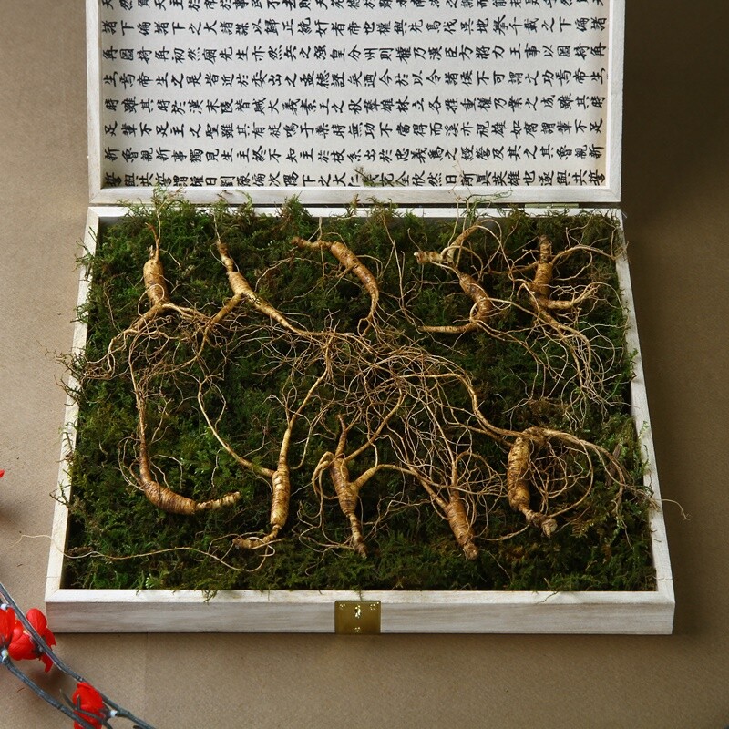 진모리,강원 진삼애 산양삼11-12년근